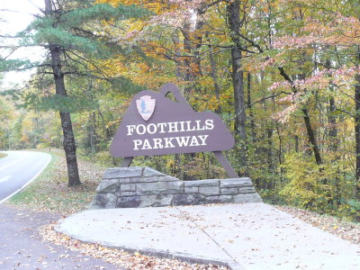 It was cloudy, but we ventured out anyway - Enjoy!
