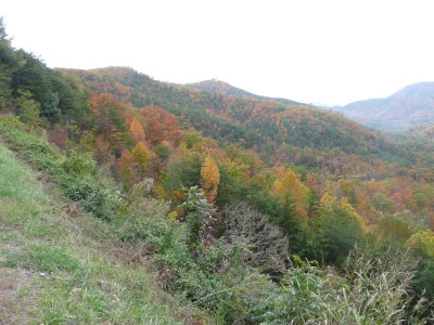 P1110362.JPG