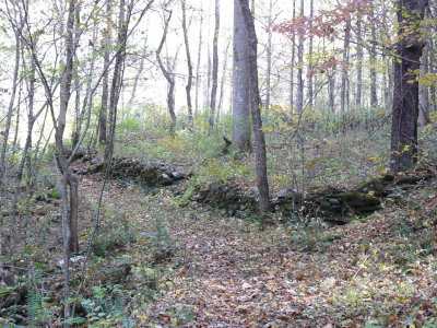 The rock walls kept the animals out of the gardens
