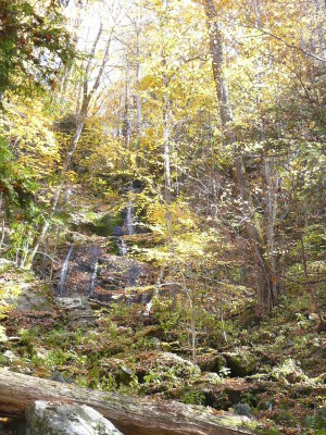Look closely - we finally reach Fern Branch Falls