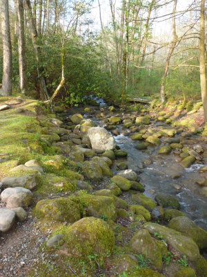 The creek behind our trailer