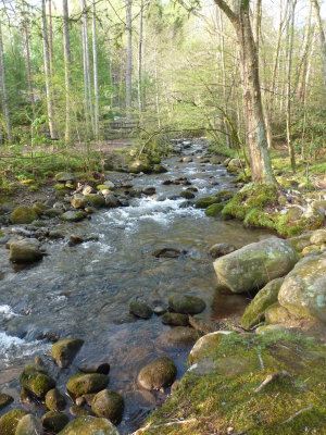 The creek from the bridge leading to the tent sites