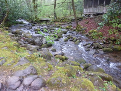 The creek behind our trailer AFTER the rains!