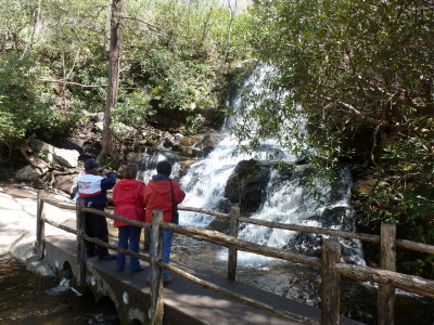 The Laurel Falls - rushing with all the water after the rains