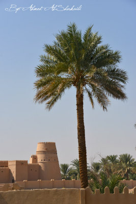 Al-Buraimi Oasis