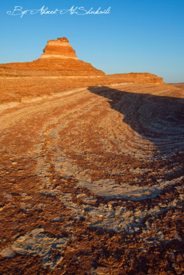 AHM_8820.jpg