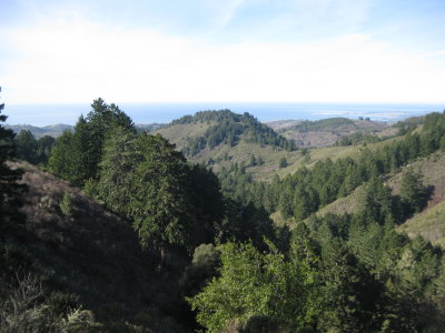 Purisima Redwoods hike