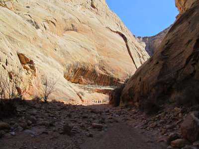 Capitol Reef National Park