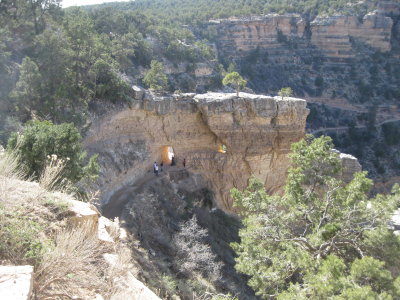The Grand Canyon