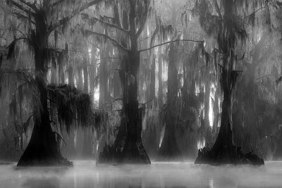 Jeems Bayou B&W