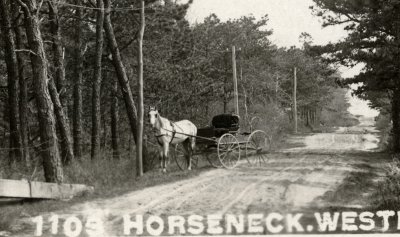 horse & buggy on road to Horseneck - 1103 Horseneck. Westport. Mass. detail