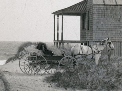 Mr. DuBois's Horse and Buggy