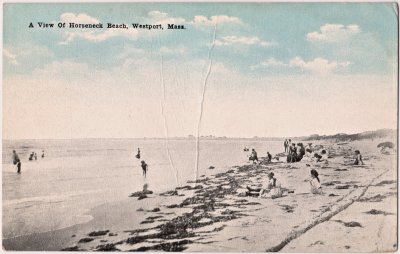 A View of Horseneck Beach, Westport, Mass.