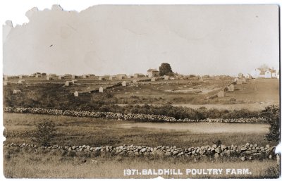 1371. BaldHill Poultry Farm.