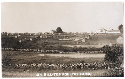1371. Hill-Top Poultry Farm.