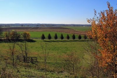 Central Illinois Farmland