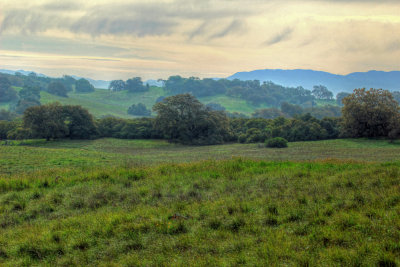 Early morning on the Santa Rosa Plateau