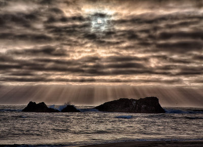 Seal-Rock-rays.jpg