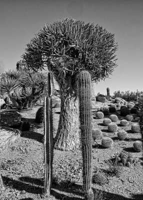 Nursery-1-BW.jpg