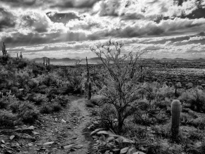 Phoenix-skyline-1-IR.jpg