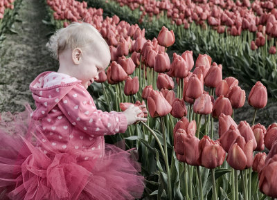 tulip-girl-1.jpg
