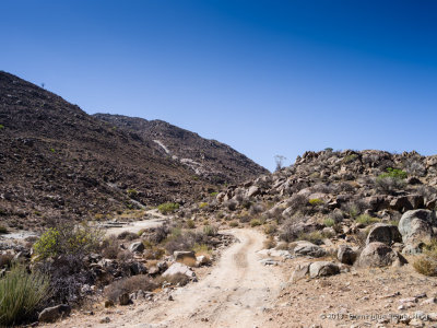 Ai-Ais Richtersveld Transfrontier Park