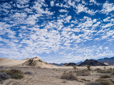 Ai-Ais Richtersveld Transfrontier Park