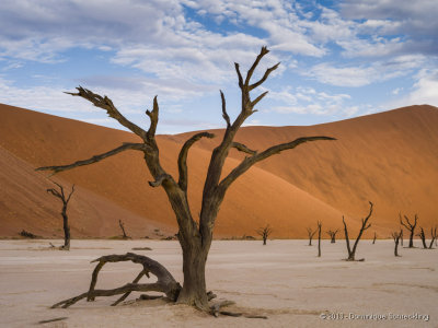 Deadvlei