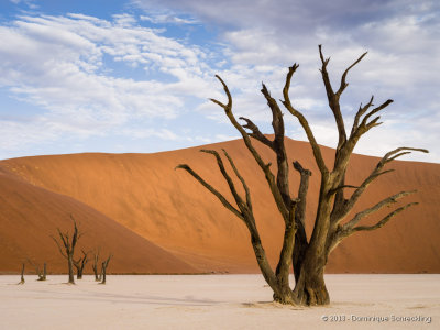 Deadvlei