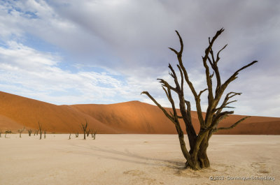 Deadvlei