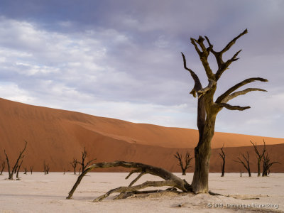 Deadvlei