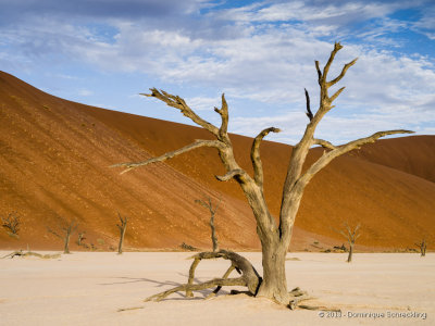 Deadvlei