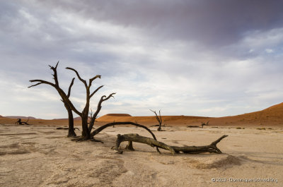 Deadvlei