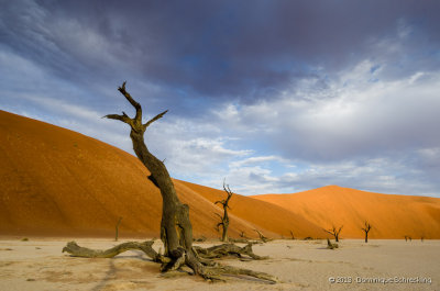 Deadvlei