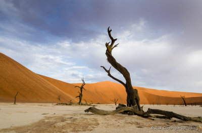 Deadvlei