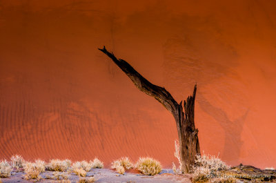 Namib Naukluft Park