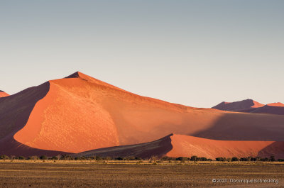 Namib Naukluft Park