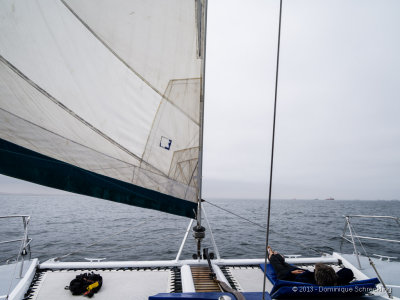 Walvis Bay Boat Tour