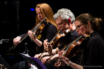 Loch Leman Ceilidh Band