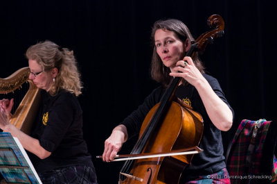 Loch Leman Ceilidh Band