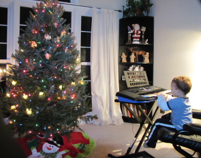 Christmas in our new house!