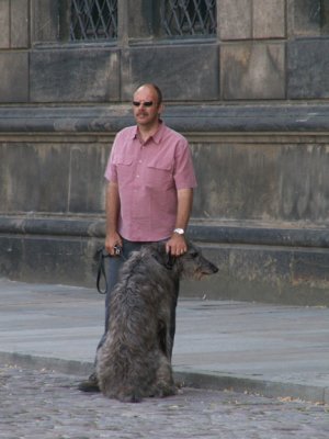Irish wolfhound and master