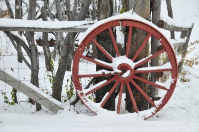 Snow Scene from Pocatello Creek Road _DSC9706.jpg