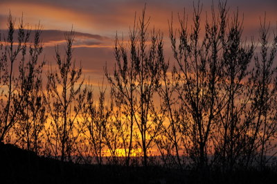 Sunset Today April 27 2013 069.JPG