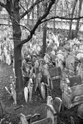 Prague, Jewish cemetery