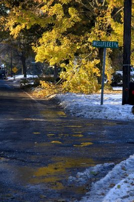 2011 October Snowstorm