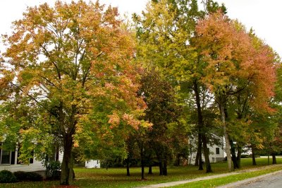 Prospect Avenue, West Springfield