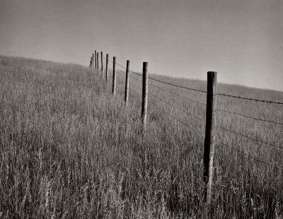 The long fence