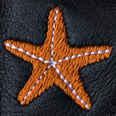 star.jpg