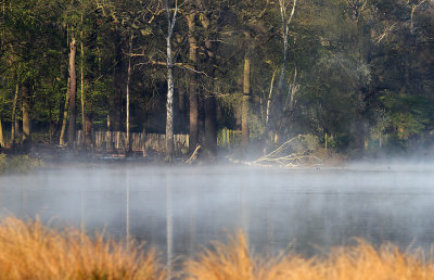 Richmond Park 7